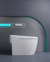 WC intelligent de luxe moderne avec bidet intégré, chasse d'eau automatique à commande au pied, siphon en P, siège chauffant, noir mat