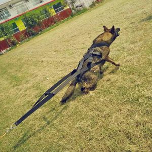 犬用ペットハーネス引きロープ強化ナイロンウェビング犬用トレーニング犬用カートとマッシング装置 - Product Image 5