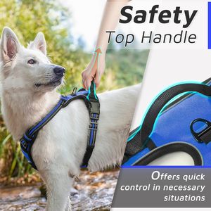 ペットハーネス2025新しいデザインカスタマイズロゴ簡単取り外し可能調節可能ペット用プルなしデザイン - Product Image 5