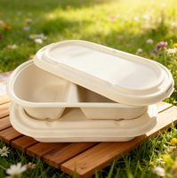 Premium Wegwerp Bagasse Afhaallocatie Eetbak Duurzaam 850/1000ml 2-Vaks Voedselcontainer met Deksel