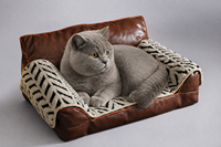 Mini canapé-lit pour chat en cuir PU, dossier haut, accoudoirs ronds épais, bordure orange, doublure en polaire pour chats petits et moyens