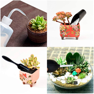 Attrezzi da giardino di alta qualità speciale radice stelo nodo pinza taglio Bonsai attrezzi da giardino kit attrezzi succulenti - Product Image 4