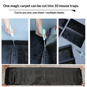 2026 Best Effective Solid Plastic Glue Trap for Snakes Birds Pest Control Sticky <b>Rat</b> Glue Trap Blanket for <b>Rat</b> Mouse Control - Product Image 3