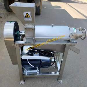 VBJX endüstriyel paslanmaz çelik elektrikli meyve sebze mango elma narenciye sıkacağı blender sıkacağı - Product Image 2