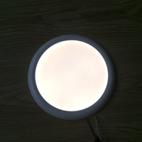 Plafonnier LED 8.4 ''à gradation tactile 12V DC RV avec options 1000 Lumen blanc/noir pour éclairage intérieur de camping-car
