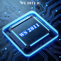 Tira de LED RGBIC Direccionable 5050, Tira de Luz LED RGB de 10m/5m, Rollo WS2811, PCB de 10mm, para E-Sport, KTV, Bar, Personalizable, Impermeable IP65/IP67