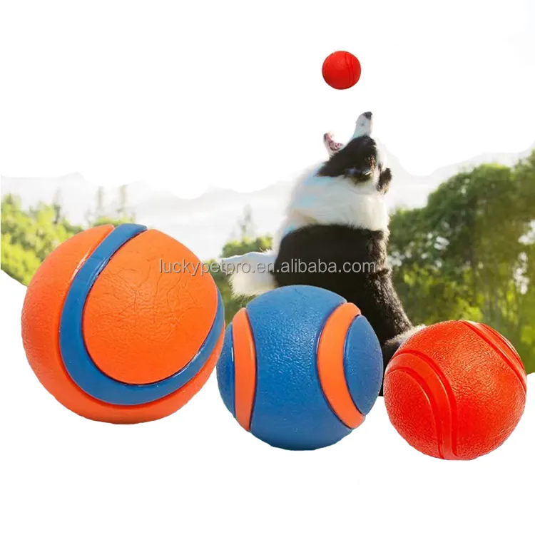 फैक्टरी कस्टम पालतू खिलौना दो रंग कुत्ते गेंद डबल गेंद कुत्ते खिलौना