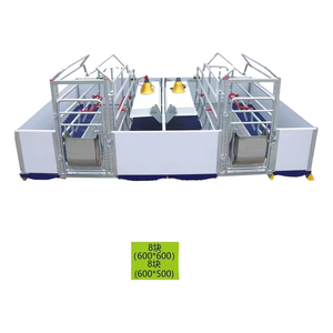 Chất lượng cao New Pig nâng cao thiết bị động vật lồng gieo <span class=keywords><strong>farrowing</strong></span> Crate cho lợn trang trại - Product Image 1