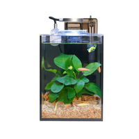 Aquarium Classique Ultra-Blanc en Verre avec Couvercle, Petit Paysage Complet pour Salon, Maison, Bureau