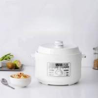 Cuisinière électrique multifonction automatique 3L ODM/OEM, cuiseur à riz électrique domestique avec pot en acier inoxydable