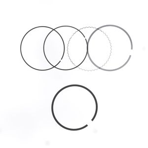 Ring Set Diameter 100 mm for Athena Piston Model S41316062 Made in Italy - Product Image 1