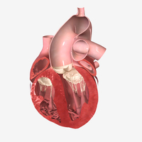 Meja Pembedahan Virtual 3D Anatomix HD (Berbahan Logam, Bertenaga Listrik) untuk Pengajaran Anatomi Interaktif dan Pendidikan Kedokteran