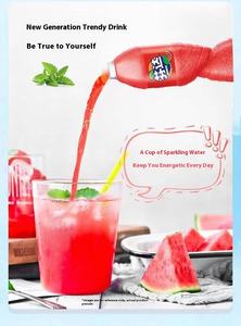 Grosir minuman Fen <span class=keywords><strong>Ta</strong></span> terlaris: 500ml * 12 botol, minuman lembut karbonasi rasa buah & minuman energi eksotis - Product Image 4