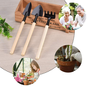 Ensemble d'outils de jardin en acier inoxydable, Mini outils de jardin/parfait ensemble 3 pièces avec manche en bois, truelle de pelle, Promotion spéciale - Product Image 4
