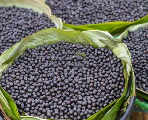 Doğa <span class=keywords><strong>Acai</strong></span> <span class=keywords><strong>Berry</strong></span> tozu % 5% Vitamin C <span class=keywords><strong>Acai</strong></span> <span class=keywords><strong>Berry</strong></span> özü - Product Image 4