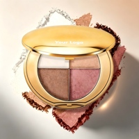 Palette de maquillage visage et yeux tout-en-un multi-usages, minérale pressée, waterproof, longue tenue, avec illuminateur, bronzer et blush