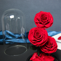Trois roses réelles préservées dans un dôme en verre, stabilisées, éternelles, durables, fleurs préservées, cadeau romantique
