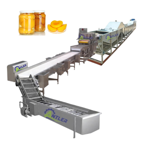 शीप कैनवस प्रक्रिया संयंत्र में अनानास प्रक्रिया संयंत्र अनानास - Product Image 3