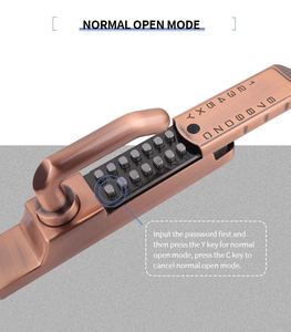 Nhà Máy Bán Hàng Trực Tiếp Giá Cả Cạnh Tranh Cửa Lỗ Mộng Khóa Xi Lanh Sân Không Thấm Nước Mã Cơ Khí Khóa - Product Image 2