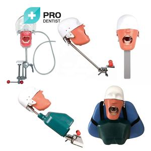 Pratique d'implant modèle de mâchoire dentaire au meilleur prix - Product Image 2