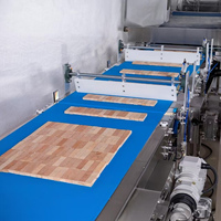 Ligne d'alimentation et de tri automatique 1 à 3 voies pour biscuits/gâteaux/pains, avec convoyeur haute vitesse et outil de recouvrement au chocolat disponible