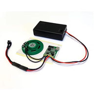 Module de puce sonore personnalisé en gros pour haut-parleur, carte de vœux, boîte à musique - Composants électroniques ABS écologiques