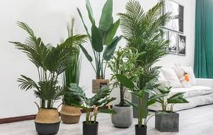 Duurzame Plastic Skybird Kunstmatige Paradijsvogel Bananenboom Hoge Kwaliteit Huisdecoraties Premium Kunstmatig Plantontwerp - Product Image 5