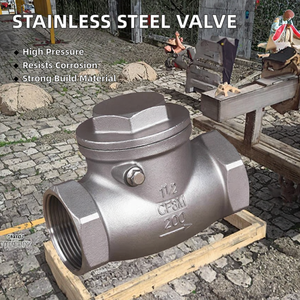 Válvula de Retención Horizontal de Acero Inoxidable GC 304, Rosca de 1 Pulgada, Resistente a la Corrosión, Alta Presión, para Agua/Gas/Aceite, 3 Años de Garantía - Product Image 2