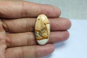 100% ธรรมชาติฟรีขนาดรูป Jasper Cabochon อัญมณีผสมรูปร่างและขนาดสําหรับเครื่องประดับที่ใช้ในราคาขายส่งจํานวนมาก - Product Image 5