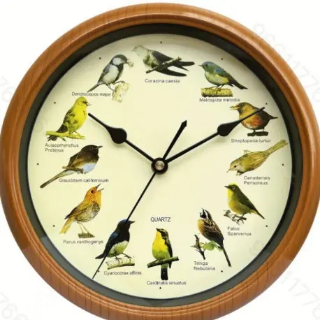Reloj de pared redondo de cuco, reloj de sonido de pájaro puntual con caja de música, reloj de pared
