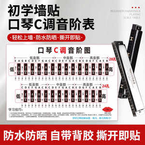 C2428 - Product Image 4