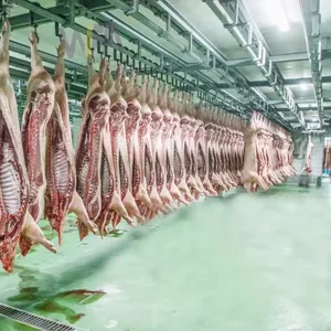Hog Swine Pig Slaughtering Line Carcass Transportation&Store Convey Rail For Slaughterhouse Plant