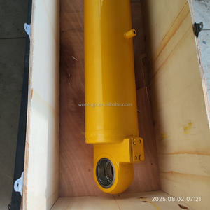 Auf Lager Hochwertiger Hydraulik zylinder DG956N-A06600 <span class=keywords><strong>DG958</strong></span>-J06600 auf Lader-Ersatzteile anwenden - Product Image 6