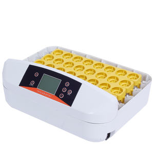 HHD Pollo/Pato/Ganso/Aves de Corral Incubadora de huevos completamente automática Bandeja de huevos con estriado - Product Image 1