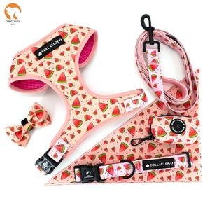 Bandana Personalizada con Logotipo para Perro, Conjunto de Collar y Correa con Estampado Personalizado, Conjunto de Arnés y Correa Ajustables para Perro - Product Image 1