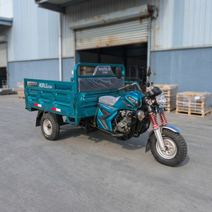 รถสามล้อบรรทุกน้ำมันเบนซินสำหรับผู้ใหญ่ ยี่ห้อ China Cargo ขนาด 200 ซีซี แบบมีกระบะยกเทท้าย ความเร็วสูงสุด <40 กม./ชม. - Product Image 3
