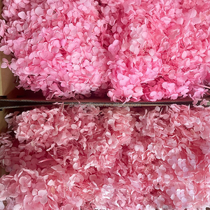 Pétales stabilisés, mousse et plantes murales, cadeau décoratif, vente en gros, <span class=keywords><strong>fleurs</strong></span> réelles, bouquet de roses et hortensias au toucher réel - Product Image 1