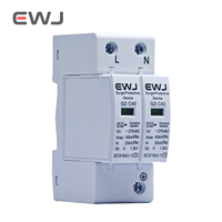 CE T2 AC SPD 2P 20KA ~ 40KA AC 275v 385V OEM maison parafoudre Protection parafoudre dispositif de protection parafoudre basse tension
