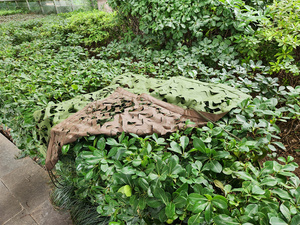 La plus large gamme <span class=keywords><strong>de</strong></span> filets <span class=keywords><strong>de</strong></span> <span class=keywords><strong>camouflage</strong></span> Jungle 30x30 <span class=keywords><strong>Filet</strong></span> Dombrage Camonetten Net Camo Cover Cobertura Para <span class=keywords><strong>Pergola</strong></span> Outdoor Shading - Product Image 4