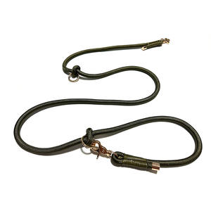 Dayanıklı çift klip İşlevli ayarlanabilir bel eller serbest el yapımı naylon halat altın köpek tasma - Product Image 2