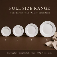 10 Zoll Neue Bone China Flache Teller Weiße Runde Servierteller für Buffet Abendessen Gastronomie Tischgeschirr