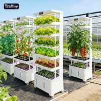 Unidad de Agricultura Inteligente sin Suelo para el Hogar con Pantalla Digital que Muestra la Temperatura y Humedad en Tiempo Real