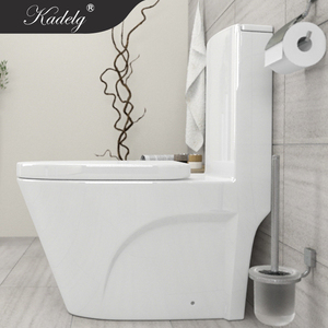 Contracstion Badkamer Één Stuk Wc Maleisië