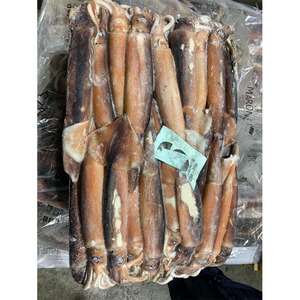 االحبار المجمدة سياحة االحبار المجمدة من الأرجنتين منتج االحبار المجمدة االحبار المجمدة الدائرية من الأرجنتين - Product Image 5