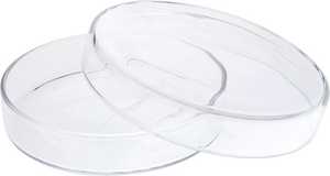 Platos de cultivo bacteriano de vidrio de buena calidad de laboratorio Plato DE CULTIVO DE Petri de vidrio de borosilicato - Product Image 2