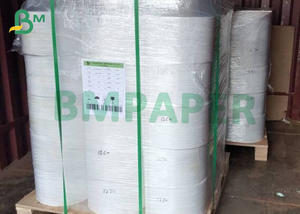 Carta impermeabile <span class=keywords><strong>Premium</strong></span> Never Tear 95um 120um 150um carta sintetica per animali domestici bianca opaca - Product Image 4