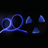Haute qualité lumineux 5050 12V 24V RGBW RGBCW RGBWW 60 led bandes lumineuses bande extérieure led bandes lumineuses couleur numérique