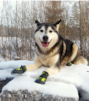 Chaussures pour chien imperméables et respirantes en cuir, antidérapantes, réfléchissantes, de haute qualité, durables, pour la randonnée, la neige et la pluie, vente en gros