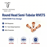 Rivets semi-tubulaires à tête ronde en acier au carbone TianFang pour barres omnibus électriques, finition zinguée, fourniture OEM ODM
