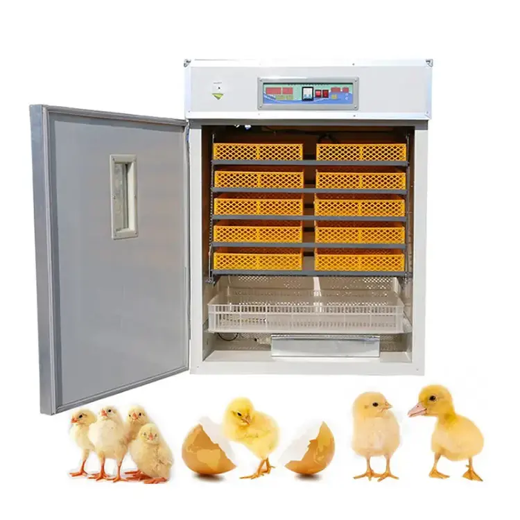 Incubadora de ovos 528 para galinha, codorna, pássaro, incubadora de ovos de boa qualidade e bom preço